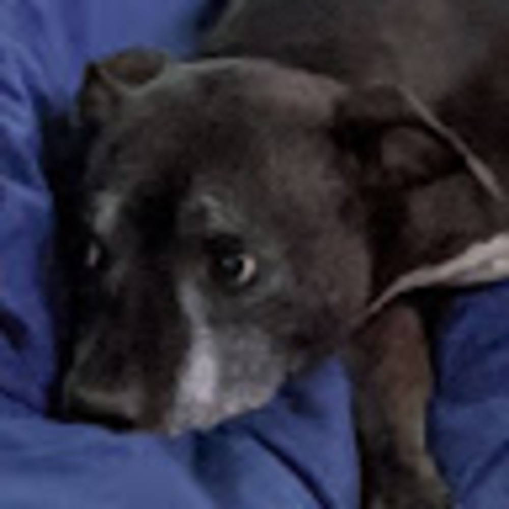 Meet your Posher, Aperson